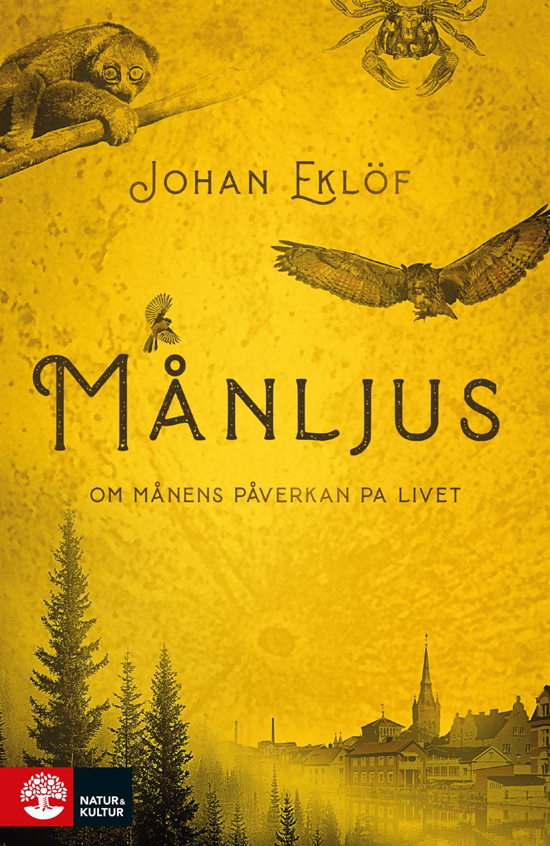 Månljus : om månens påverkan på livet