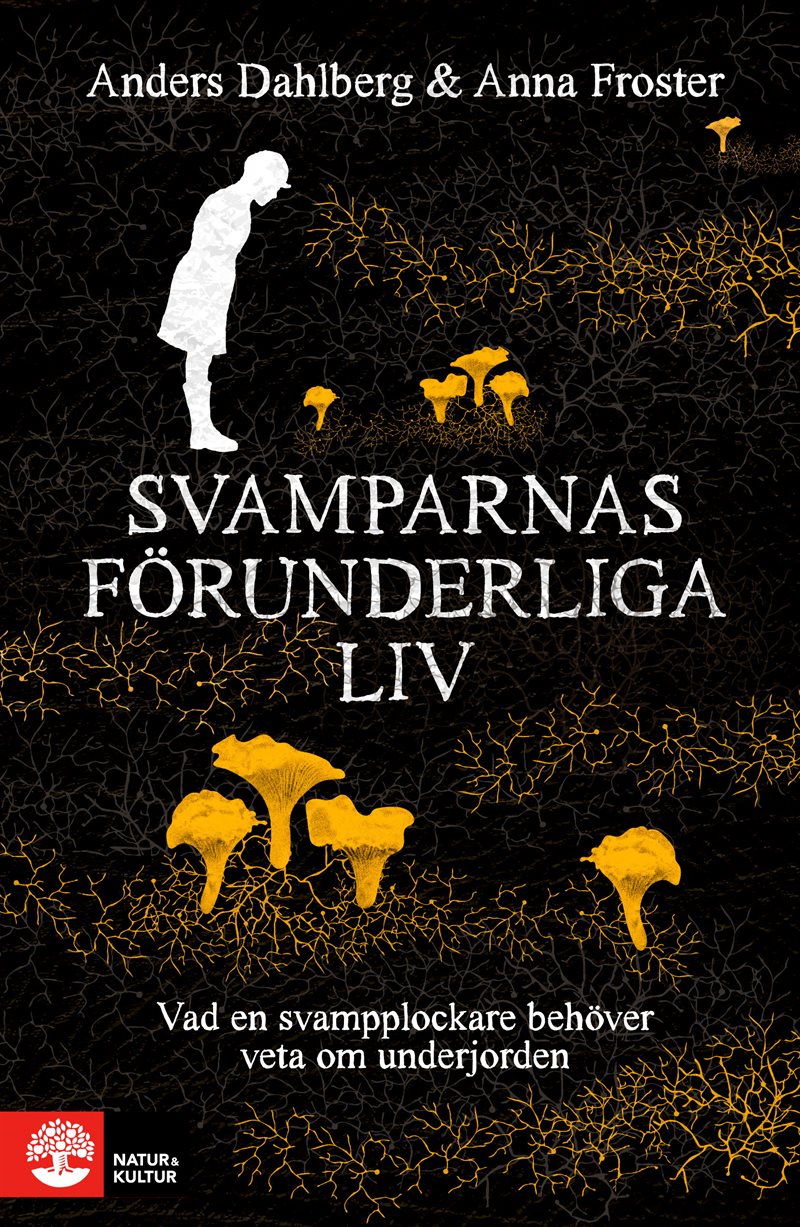 Svamparnas förunderliga liv : Vad en svampplockare behöver veta om underjorden