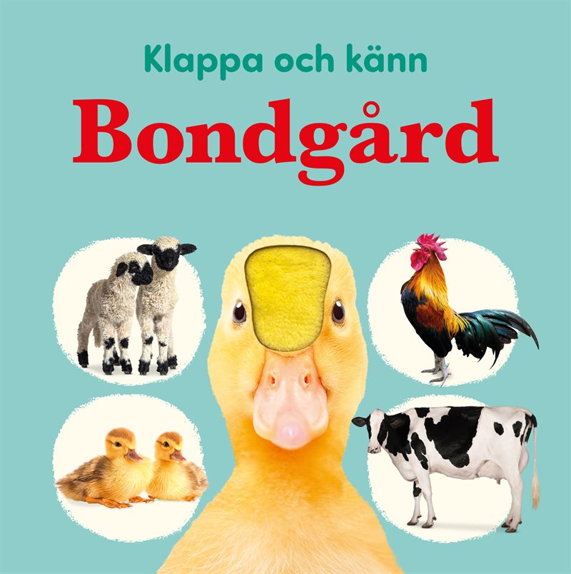 Klappa och känn: Bondgård