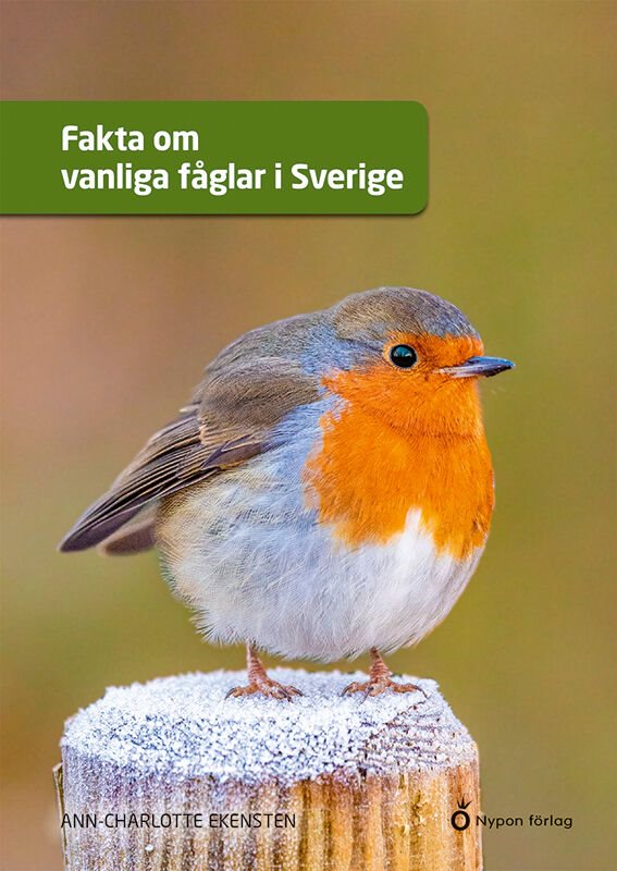 Fakta om vanliga fåglar i Sverige