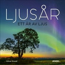 Ljusår : ett år av ljus