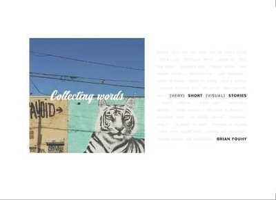 Collecting Words