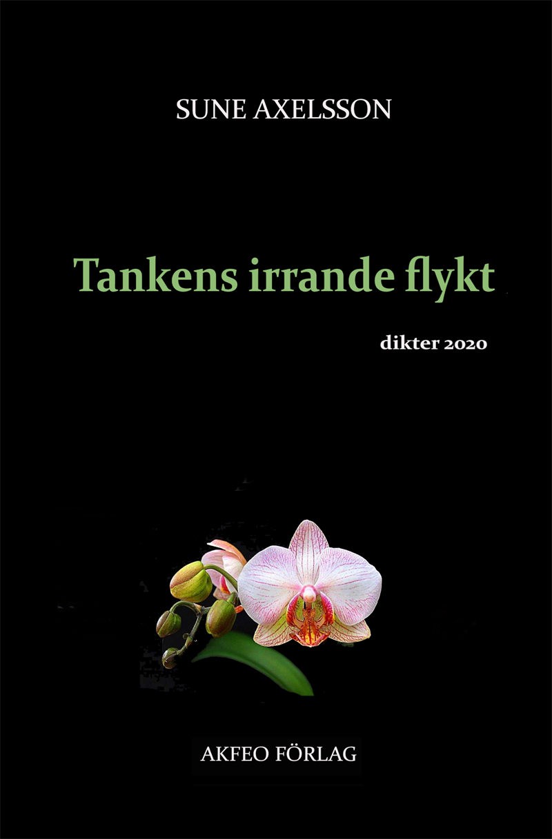 Tankens irrande flykt