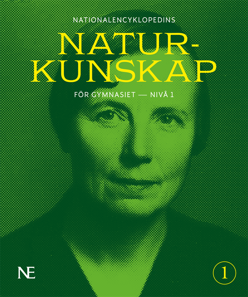 NE Naturkunskap för gymnasiet - nivå 1