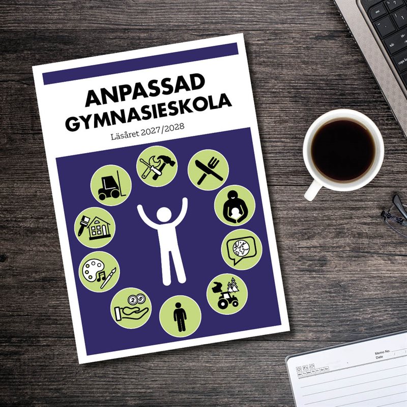 Anpassad gymnasieskola läsåret 2027/2028