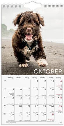 Väggkalender 2026 Liten Hundkalender